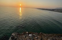 Salalah Street Food & Culture Tour — Local Flavors & Markets