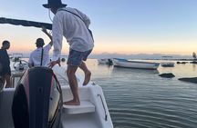 Mauritius Whales and Dolphin Watching Expedition