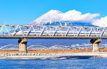 Mt. Fuji and Hakone Day Tour with Bullet Train Return