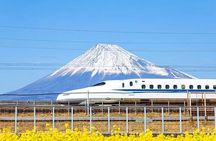 Mt. Fuji and Hakone Day Tour with Bullet Train Return