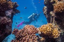 Magic Red Sea Discovery - Discover Scuba Diving Marsa Alam