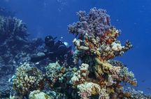 Red Sea Open Water Diver Course in Marsa Alam