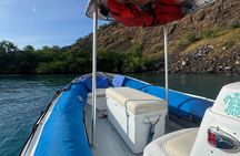 Private Charter Custom Kealakekua Bay Snorkeling