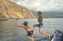 Private Charter Custom Kealakekua Bay Snorkeling