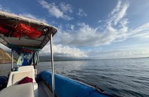 Private Charter Custom Kealakekua Bay Snorkeling