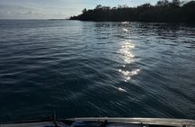 Private Charter Custom Kealakekua Bay Snorkeling