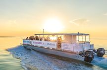 Sandbar Adventure Cruise in the Florida Keys