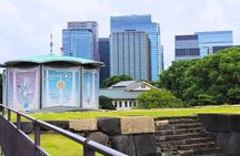 Tokyo Castle, Imperial Palace, Shogun & Garden Walking Tour