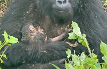 3 Days Gorilla trekking, Equator and Community Tour