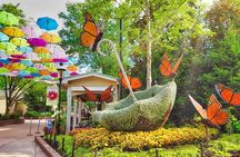 Dollywood Day Trip from Nashville