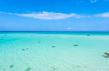 Mnemba Island Private Boat – Snorkel & Dolphin Adventure