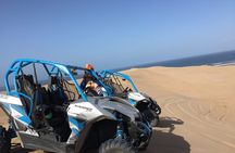 Best Buggy Adventure in the Forest and Beach Dunes of Takate