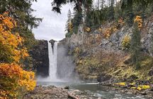 Snoqualmie Falls and Woodinville Wine Tour SUV or Van