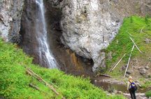 Fairy Falls and Grand Prismatic Overlook Hike with Lunch