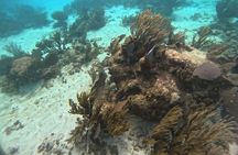 Fishing and snorkeling on the costa maya 4 hours