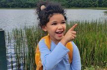 Best of Grenada Falls, Lake, Rum and Cocoa Experience