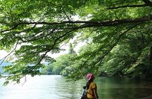 Shinrin Yoku at Hakone Lakeshore 