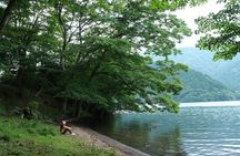 Shinrin Yoku at Hakone Lakeshore 