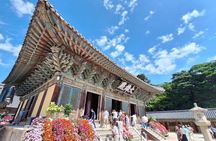 Gyeongju UNESCO Heritage Half Day Tour