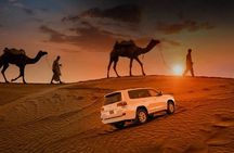 Private Desert Safari Experience with Buggy and Camel Rides