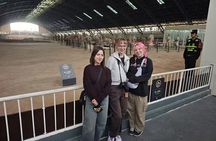 Group Tour Qin Terracotta Army Museum