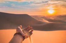 DUBAI | Premiun Desert Safari plus Quad Biking , BBQ Dinner