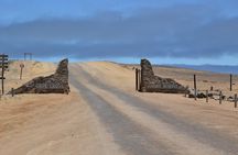 Cape Cross Seal Colony and Skeleton Coast Namibia Guided Tour