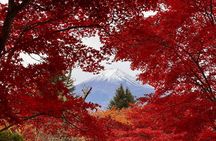 Tokyo: Mt.Fuji & Lake Kawaguchiko 1-Day Bus Tour w/Optional Lunch