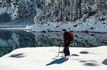 Heavenly Tahoe Snow Shoe Tour With A Local Guide