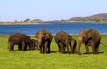 Yala National Park Safari Tours