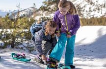 Lake Tahoe Guided Snowshoe Tour with Round-Trip Transportation