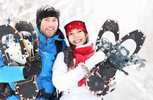 Heavenly Tahoe Snow Shoe Tour With A Local Guide