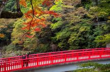 From Nagoya: Discover Aichi — Korankei, Miso, & Inari Shrine