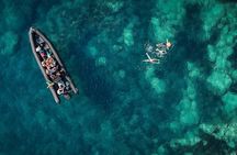 Sea excursion - Essential Estérel Calanques