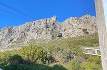 Cape Town Shore Excursion: Small Group Table Mountain & City