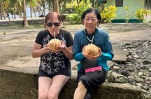 Samoa Upolu: Full Day Tour