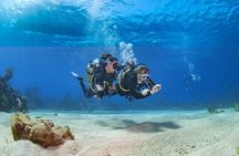 Magic Red Sea Discovery - Discover Scuba Diving Marsa Alam