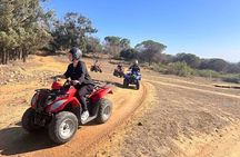 Hammamet quad bike tour in the mountain with tasting of olive oil and bread