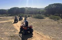 Hammamet : Quad adventure through the hills