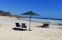 Salalah: Fazayah Beach, Blowholes & Coastal Cliffs - Private Tour