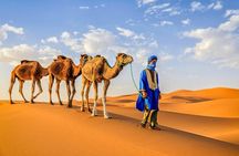 Discover Merzouga in 3 Days Camel Trek and Berber Camp Experience