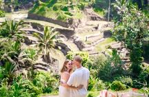 Bali Ubud Tour Monkey Forest, Temple, Waterfall & Rice Terrace