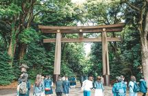 Tokyo: Big Highlights - Asakusa, Shibuya & Meiji Shrine tour