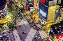 Tokyo Private Walking Tour for Tradition, Culture and Hidden Gems