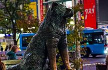 Tokyo Full-Day Private Walking Tour – Fully Personalized