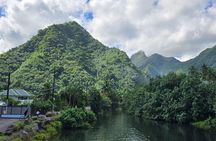Private Full Day in Papeete and Tahiti Iti with Belveder Lookout
