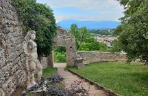 Prosecco Hills Day Trip from Venice & Treviso: 2 Wineries