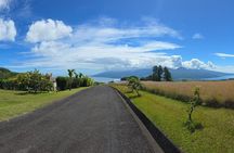 Private Full Day in Papeete and Tahiti Iti with Belveder Lookout