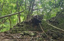 Tahiti Fautaua Valley and Big Waterfall Private Hiking Tour