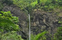 Tahiti Fautaua Valley and Big Waterfall Private Hiking Tour